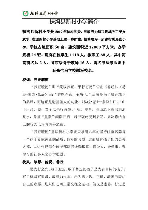 扶沟县新村小学简介
