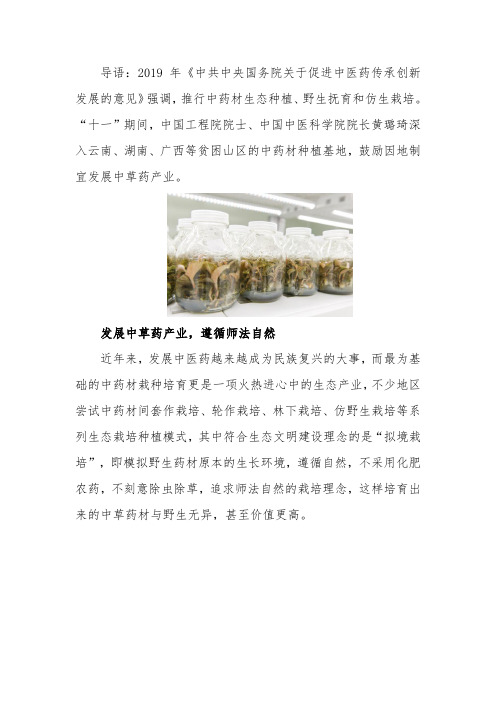 金线莲培育难度大,云谷田园如何脱颖而出？