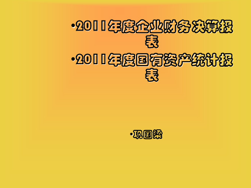 2011决算讲解.ppt