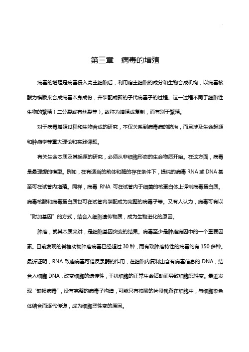 第三章病毒的增殖