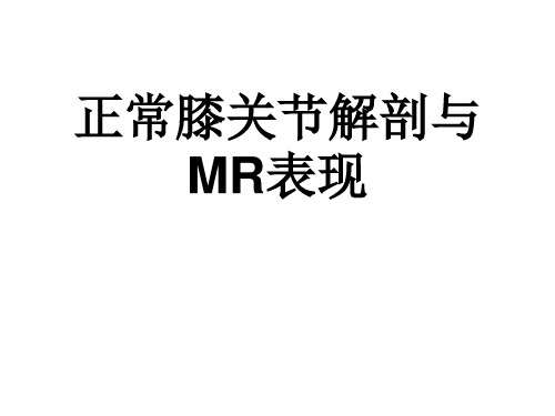膝关节MR解剖
