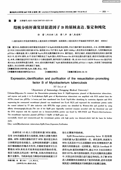 结核分枝杆菌复活促进因子B的原核表达、鉴定和纯化