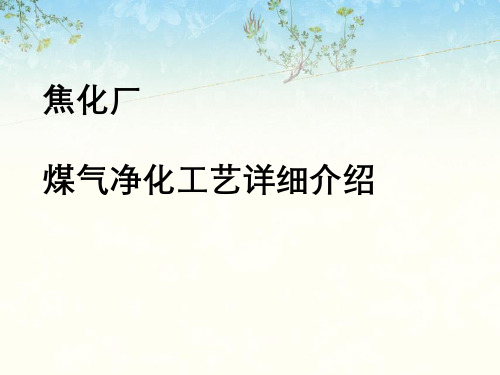 焦化厂煤气净化工艺详细介绍