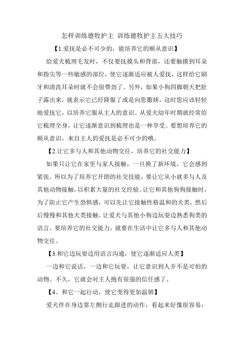 怎样训练德牧护主 训练德牧护主五大技巧