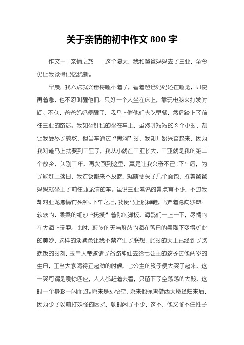 关于亲情的初中作文800字
