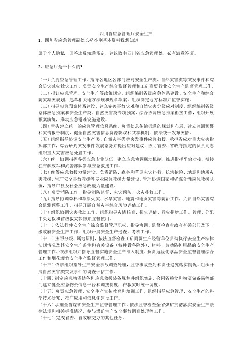 四川省应急管理厅安全生产安全生产