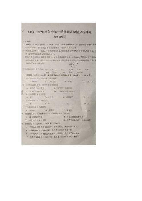 【化学】2020初三上联合体化学期末试卷