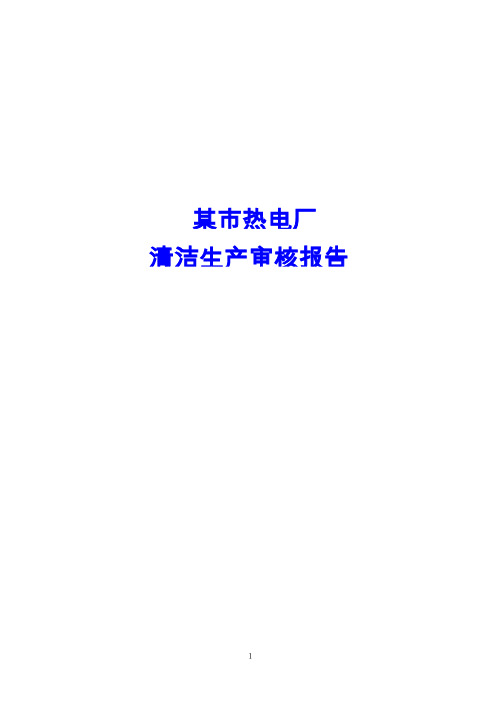 某热电厂清洁生产审核报告