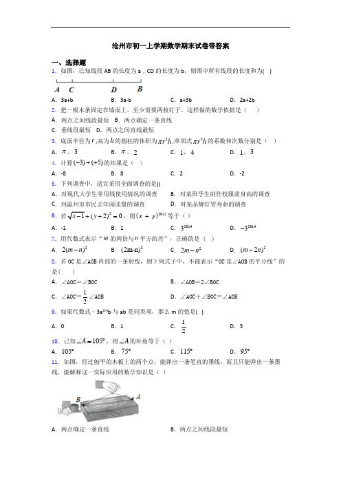 沧州市初一上学期数学期末试卷带答案