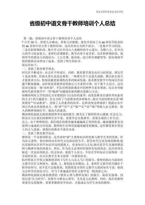 省级初中语文骨干教师培训个人总结
