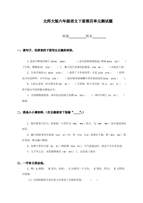 北师大版小学六年级下册语文第四单元试卷及答案