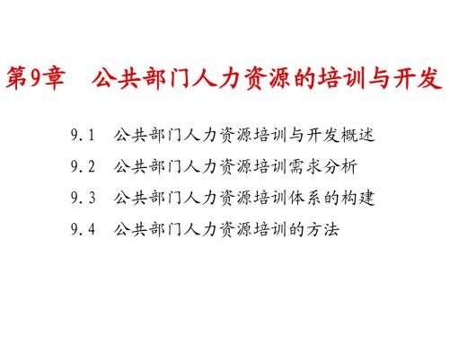 公共人力资源管理-第9章公共部门人力资源的培训与开发