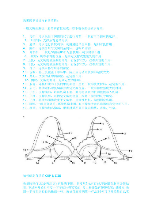 Bra使用手册
