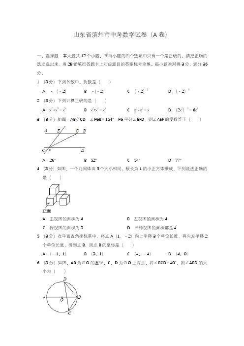 2020—2021年新山东省滨州市中考数学模拟试题(A卷,word版,含解析)(下载后可直接打印).doc