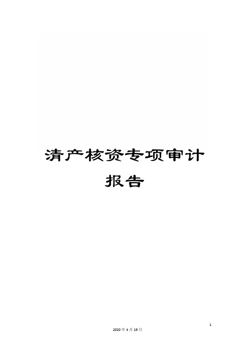 清产核资专项审计报告范文
