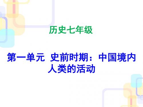 2017-2018学年七年级历史上册课件ppt(43份) 人教版24