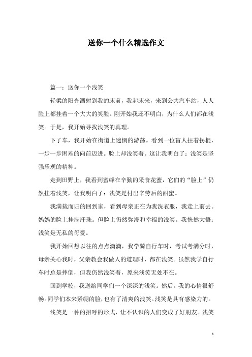 送你一个什么精选作文