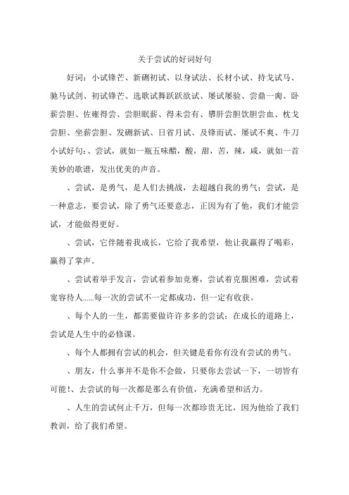 关于尝试的好词好句-作文