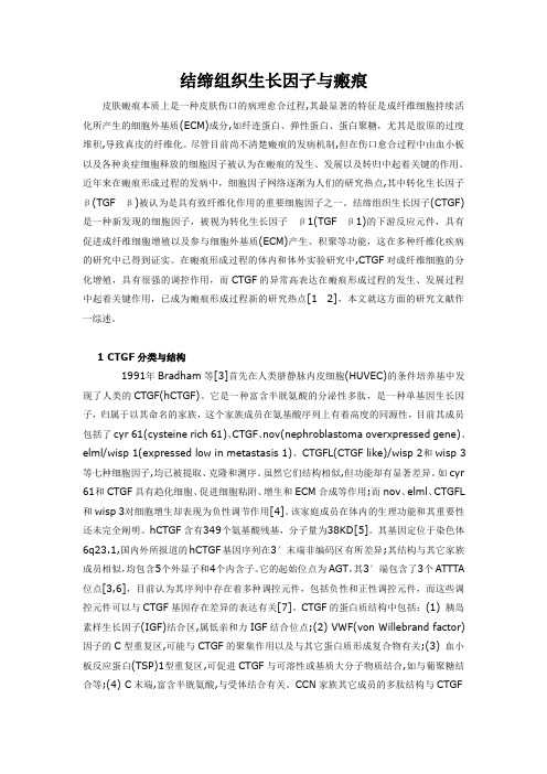 结缔组织生长因子与瘢痕