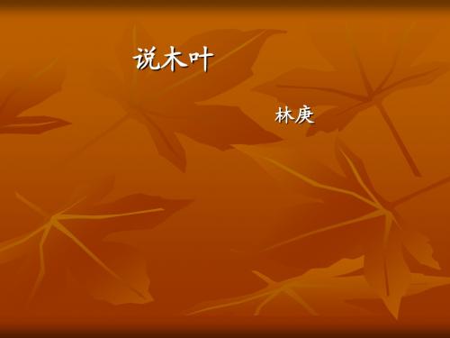 人教版人教课标版高中语文5必修5  说木叶 PPT课件