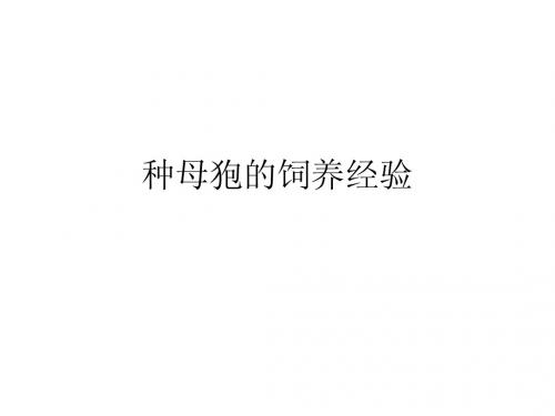 种母狍的饲养经验