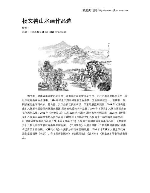杨文善山水画作品选
