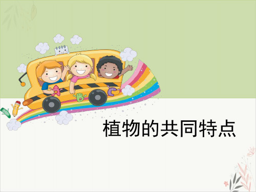 植物的共同特点植物ppt课件(完美版)