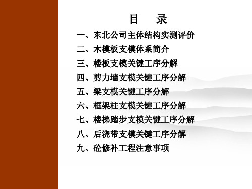 木模板施工关键工序作业指导书图文丰富