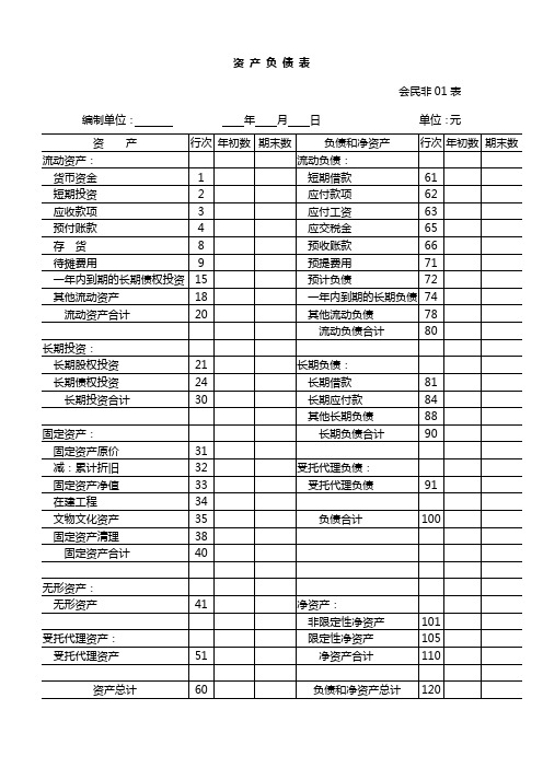 民办非企业报表
