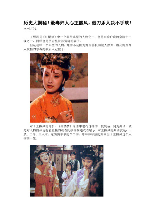《红楼梦》深度解析探索论评  (2)