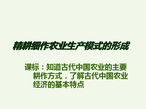 1.精耕细作农业生产模式的形成ppt