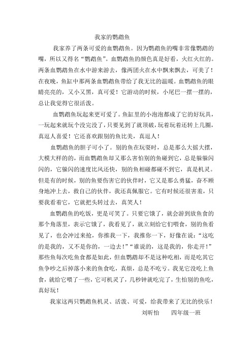 我家的鹦鹉鱼