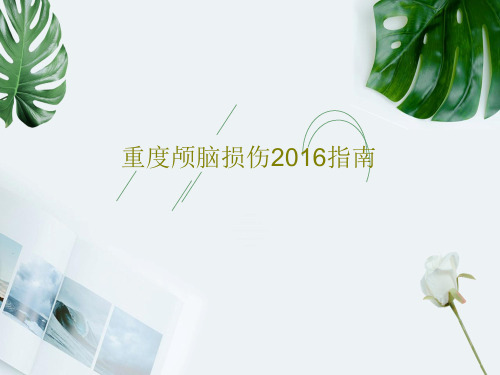 重度颅脑损伤2016指南共25页文档