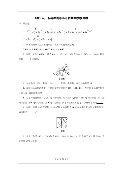 2021年广东省深圳市小升初数学模拟试卷及答案