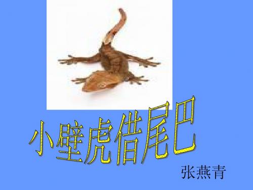 小学一年级下学期语文第四单元小壁虎借尾巴PPT课件