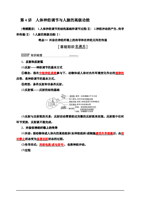 2020版新一线高考生物苏教版一轮复习教学案：必修3第8单元第4讲人体神经调节与人脑的高级功能含答案
