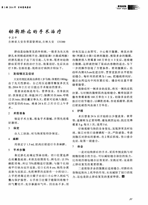 幼驹脐疝的手术治疗