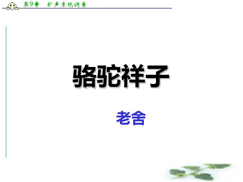 人教高中语文选修系列《中国小说欣赏》课件：第八单元第16课：骆驼祥子(24张ppt)
