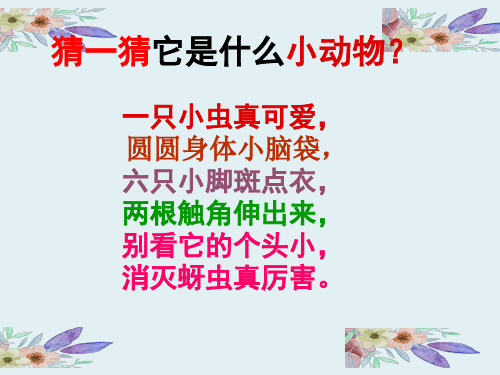 (一下)语美术优秀课件- 7.瓢虫的花衣裳 人教新课标 PPT(23页)