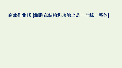 新教材高中生物高效作业10细胞在结构和功能上是一个统一整体课件浙科版必修第一册ppt