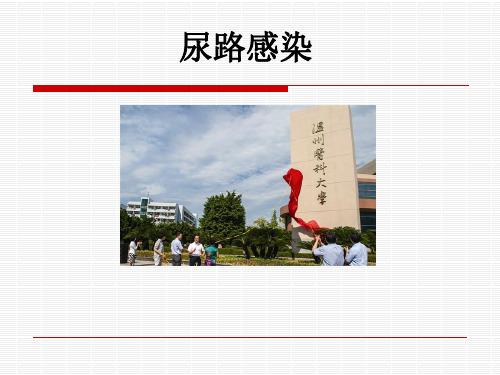 尿路感染CBL2015