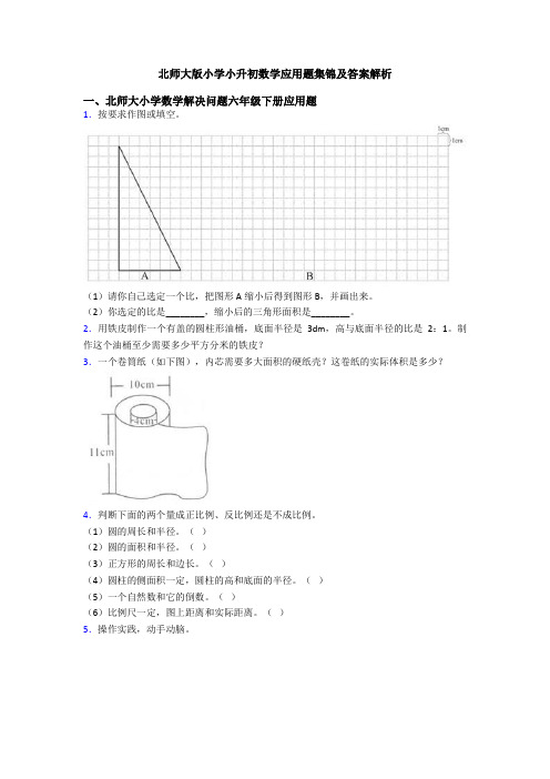 北师大版小学小升初数学应用题集锦及答案解析