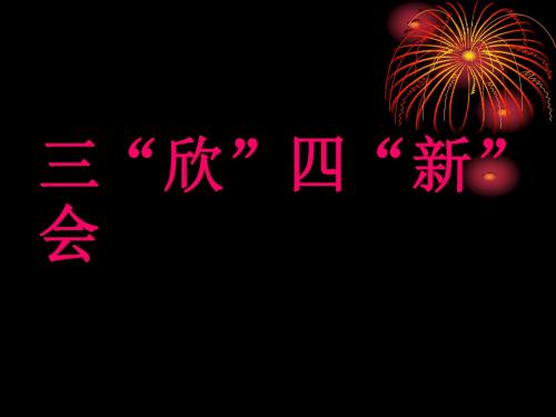 三新四新会文稿