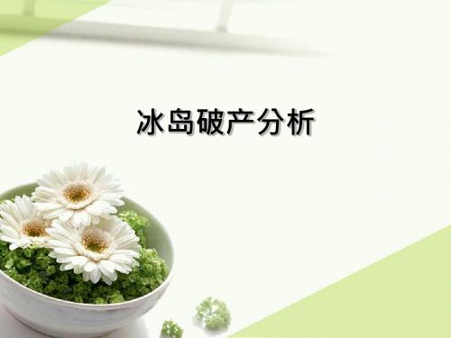 冰岛破产分析