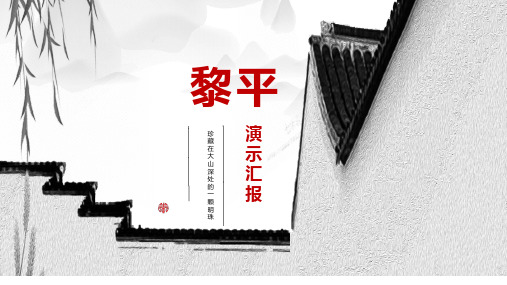 黎平县演示汇报