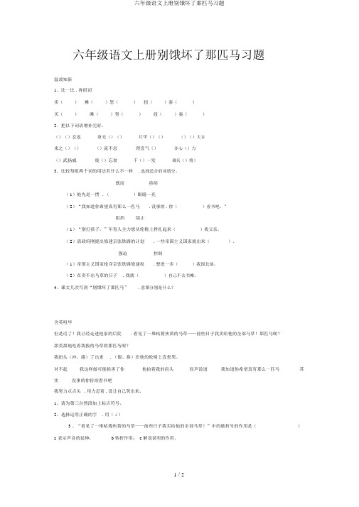 六年级语文上册别饿坏了那匹马习题