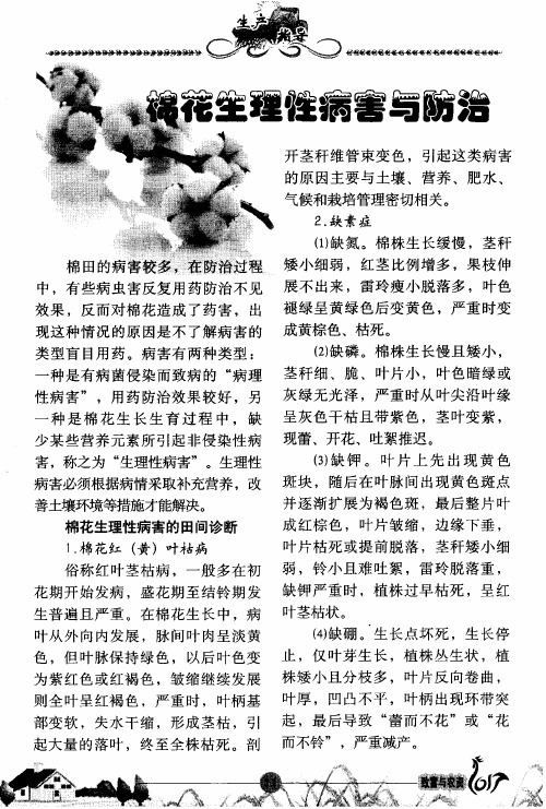 棉花生理性病害与防治