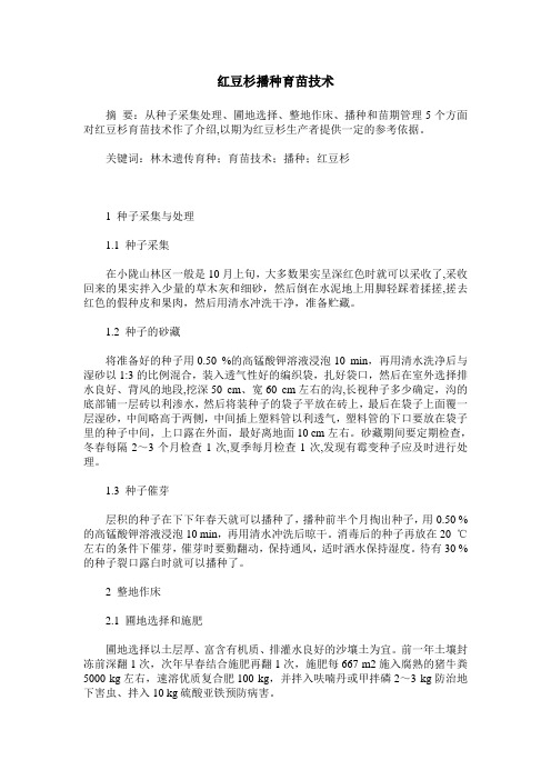 红豆杉播种育苗技术