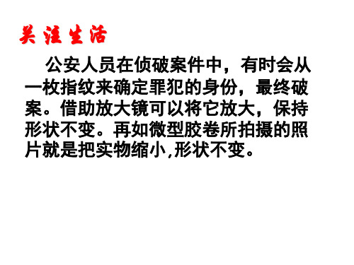 八年级数学图形的位似2(PPT)2-1