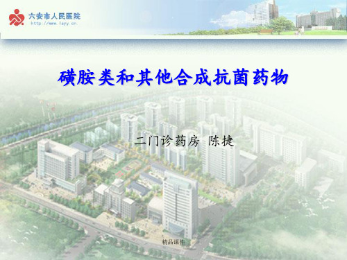 磺胺类和其他合成抗菌药物ppt课件